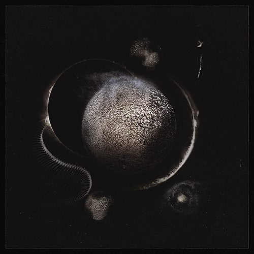Enthroned - Cold Black..  |  Vinyl LP | Enthroned - Cold Black..  (LP) | Records on Vinyl