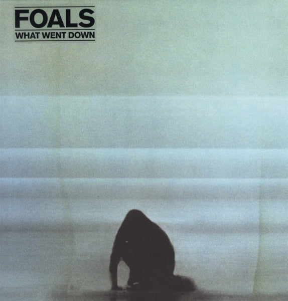 Foals - What Went Down |  Vinyl LP | Foals - What Went Down (LP) | Records on Vinyl