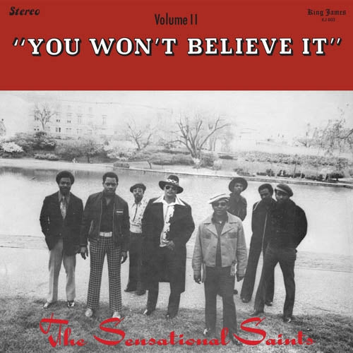 Sensational Saints - You Won't Believe It |  Vinyl LP | Sensational Saints - You Won't Believe It (LP) | Records on Vinyl