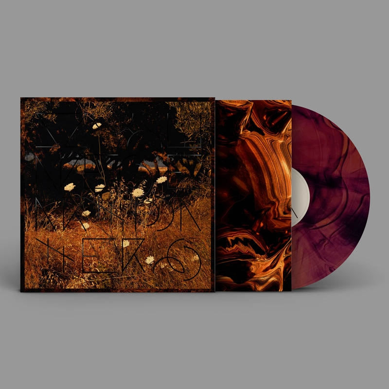  |  Vinyl LP | Szun Waves - Earth Patterns (LP) | Records on Vinyl