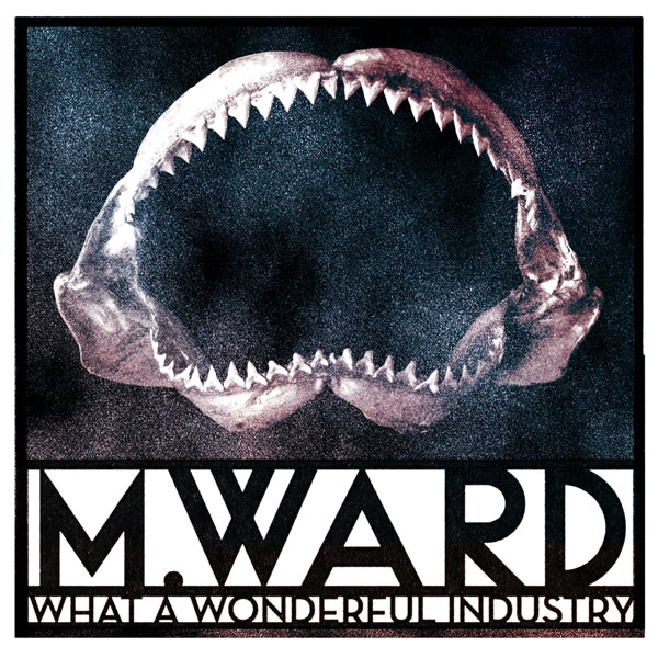 M. Ward - What A..  |  Vinyl LP | M. Ward - What A..  (LP) | Records on Vinyl