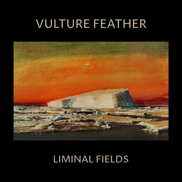  |  Vinyl LP | Vulture Feather - Liminal Fields (LP) | Records on Vinyl