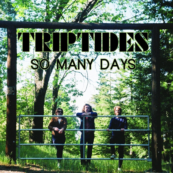 Triptydes - So Many Days |  12" Single | Triptydes - So Many Days (12" Single) | Records on Vinyl