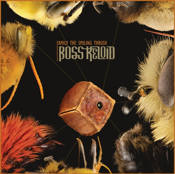 Boss Keloid - Family The Smiling Thrush |  Vinyl LP | Boss Keloid - Family The Smiling Thrush (LP) | Records on Vinyl