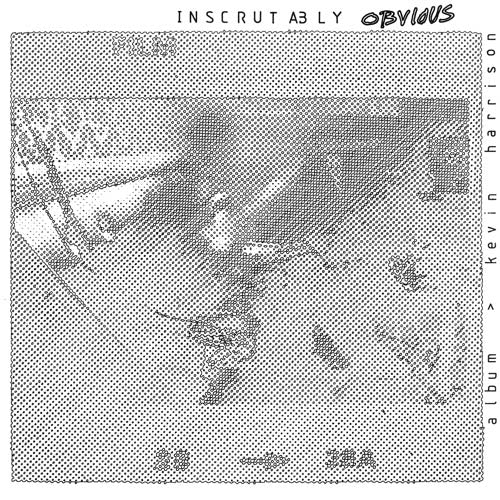 Kevin Harrison - Inscrutably Obvious |  Vinyl LP | Kevin Harrison - Inscrutably Obvious (LP) | Records on Vinyl