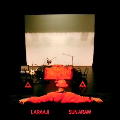  |  Vinyl LP | Laraaji - Professional Sunflow (2 LPs) | Records on Vinyl