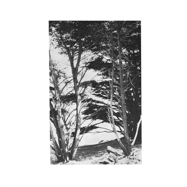 Rick Deitrick - Gentle Wilderness |  Vinyl LP | Rick Deitrick - Gentle Wilderness (LP) | Records on Vinyl