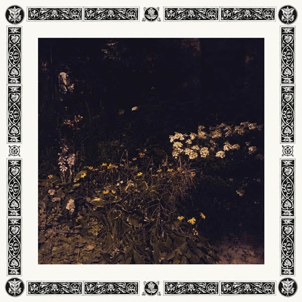 Sarah Davachi - Pale Bloom |  Vinyl LP | Sarah Davachi - Pale Bloom (LP) | Records on Vinyl