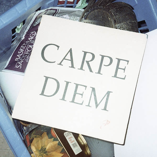 Walter Tv - Carpe Diem |  Vinyl LP | Walter Tv - Carpe Diem (LP) | Records on Vinyl