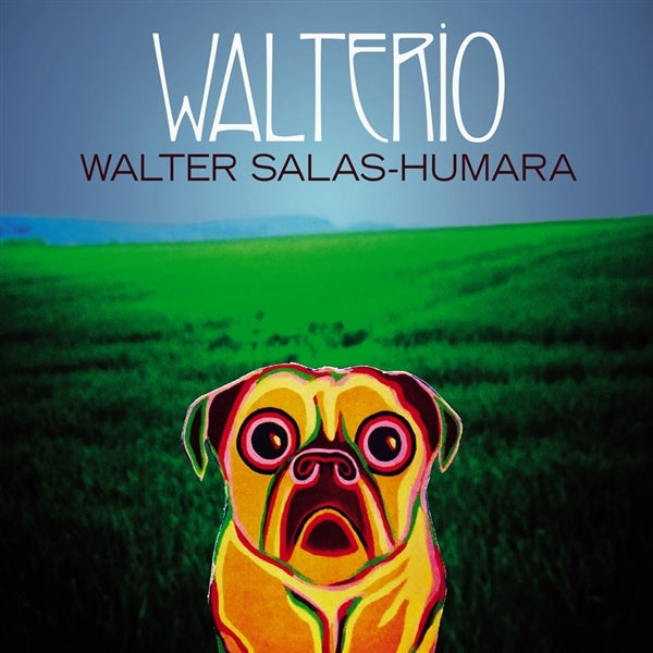  |  Vinyl LP | Walter Salas-Humara - Walterio (LP) | Records on Vinyl