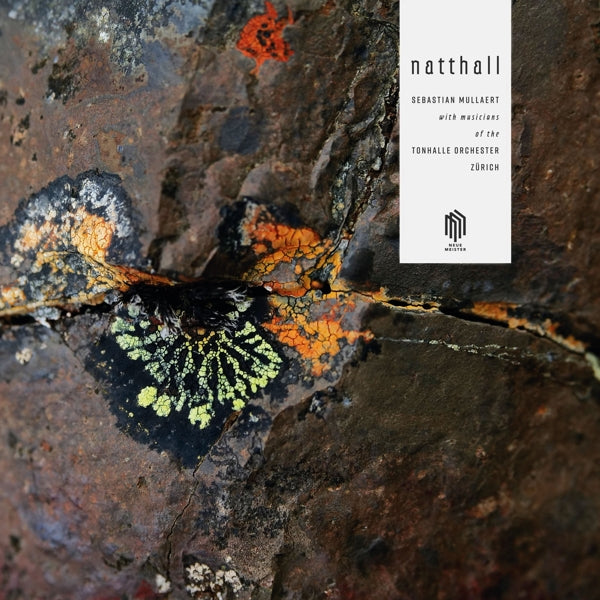  |  Vinyl LP | Sebastian Mullaert - Natthall (2 LPs) | Records on Vinyl