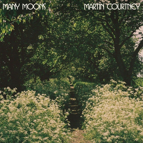 Martin Courtney - Many Moons |  Vinyl LP | Martin Courtney - Many Moons (LP) | Records on Vinyl
