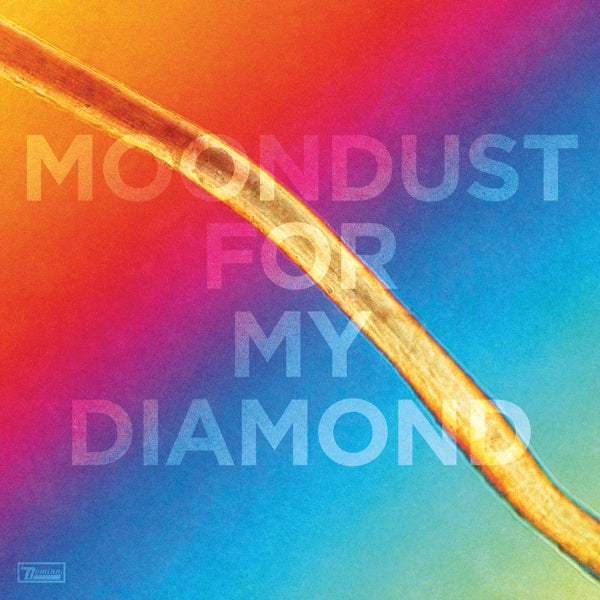 Hayden Thorpe - Moondust For My Diamond |  Vinyl LP | Hayden Thorpe - Moondust For My Diamond (LP) | Records on Vinyl