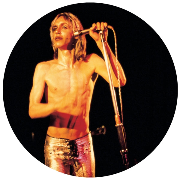  |  Vinyl LP | Iggy & the Stooges - More Power (2 LPs) | Records on Vinyl