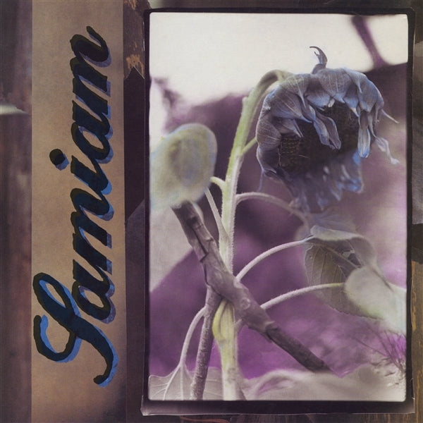  |  Vinyl LP | Samiam - Samiam (LP) | Records on Vinyl