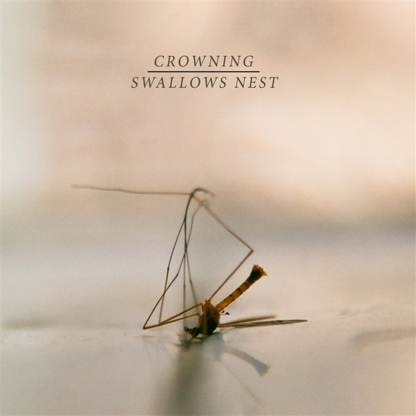 Crowning/Swallows Nest - Split |  7" Single | Crowning/Swallows Nest - Split (7" Single) | Records on Vinyl