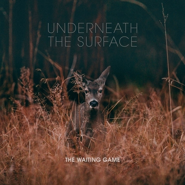 Waiting Game - Underneath The Surface |  Vinyl LP | Waiting Game - Underneath The Surface (LP) | Records on Vinyl
