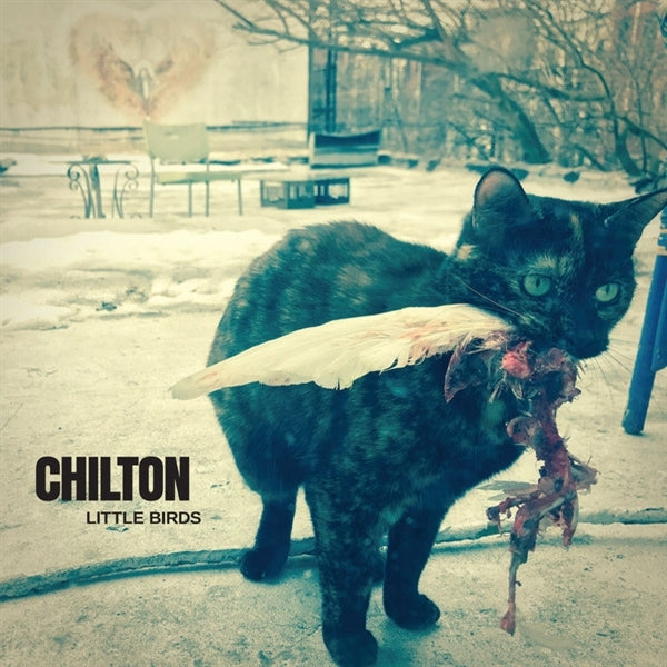 Chilton - Little Birds |  Vinyl LP | Chilton - Little Birds (LP) | Records on Vinyl