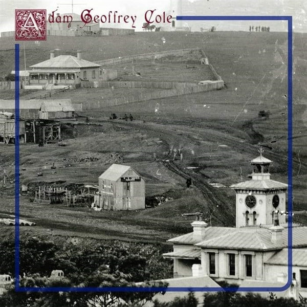  |  Vinyl LP | Adam Geoffrey Cole - Fallowing (LP) | Records on Vinyl