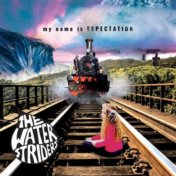  |  Vinyl LP | Waterstriders - My Name is Expectation (LP) | Records on Vinyl