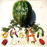 Adam Payne - Organ |  Vinyl LP | Adam Payne - Organ (LP) | Records on Vinyl