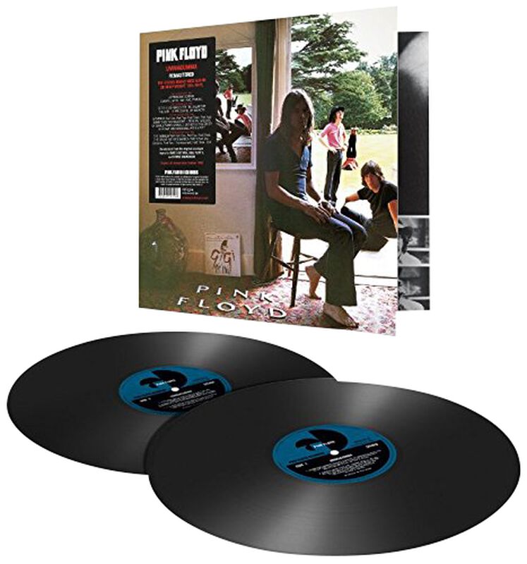 Pink Floyd - Wall  |  Vinyl LP | Pink Floyd - UmmaGumma  (2 LPs) | Records on Vinyl