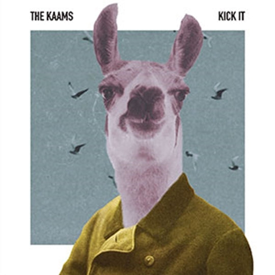Kaams - Kick It |  Vinyl LP | Kaams - Kick It (LP) | Records on Vinyl
