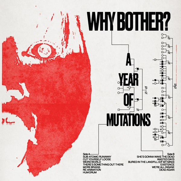  |   | Why Bother? - A Year of Mutations (LP) | Records on Vinyl
