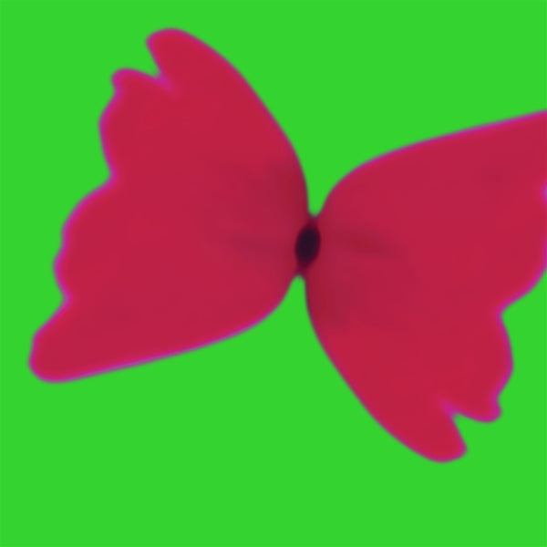  |  Vinyl LP | Ivvvo - Bleached Butterfly (LP) | Records on Vinyl