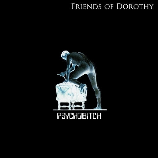  |  Vinyl LP | Friends of Dorothy - Psychobitch (LP) | Records on Vinyl