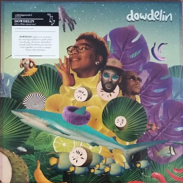  |  Vinyl LP | Dowdelin - Carnaval Odyssey (LP) | Records on Vinyl