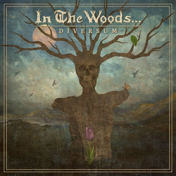  |  Vinyl LP | In the Woods - Diversum (LP) | Records on Vinyl