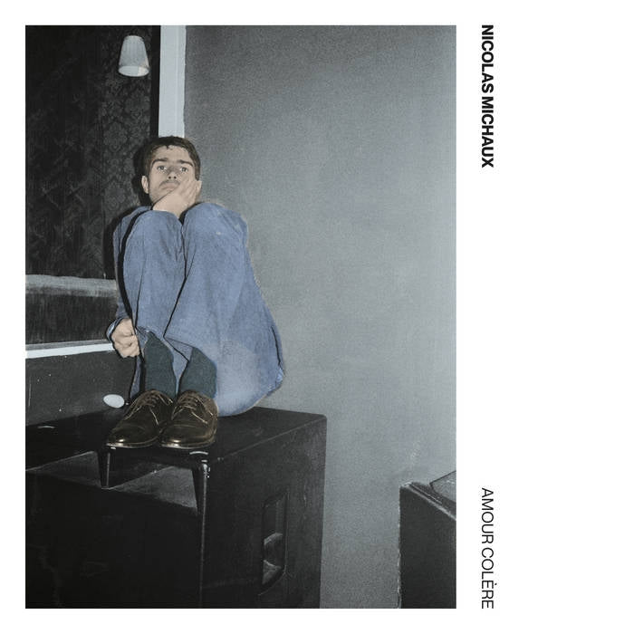  |  Vinyl LP | Nicolas Michaux - Amour Colere (2 LPs) | Records on Vinyl