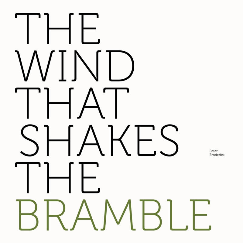  |  Vinyl LP | Peter Broderick - Wind That Shakes the Bramble (LP) | Records on Vinyl