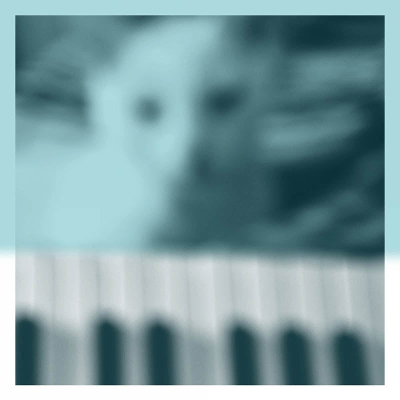  |  Vinyl LP | Peter Broderick - Piano Works Vol. 1 (2 LPs) | Records on Vinyl