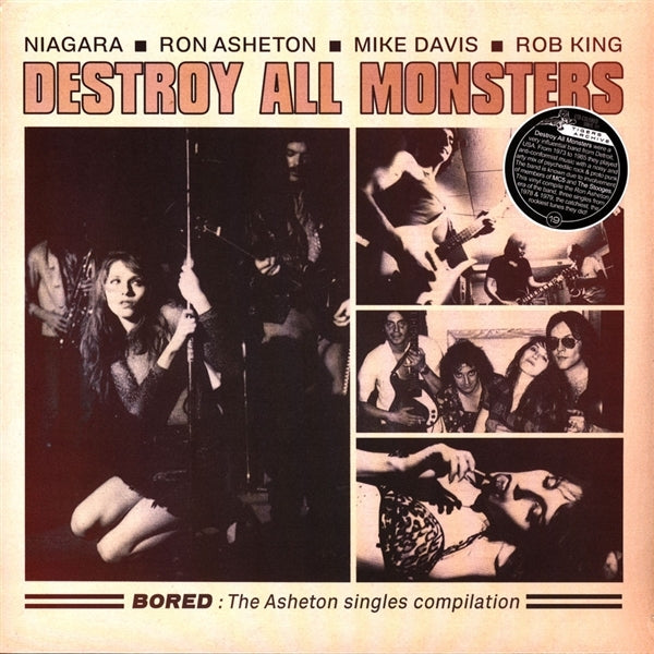  |  Vinyl LP | Destroy All Monsters - Bored (LP) | Records on Vinyl