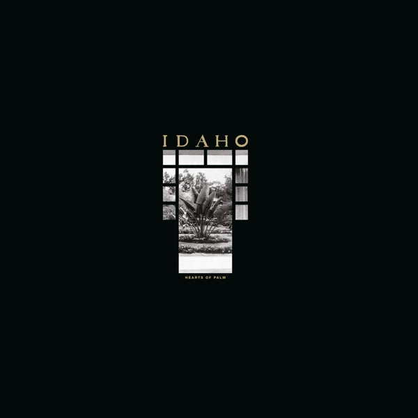 Idaho - Hearts Of Palm |  Vinyl LP | Idaho - Hearts Of Palm (LP) | Records on Vinyl