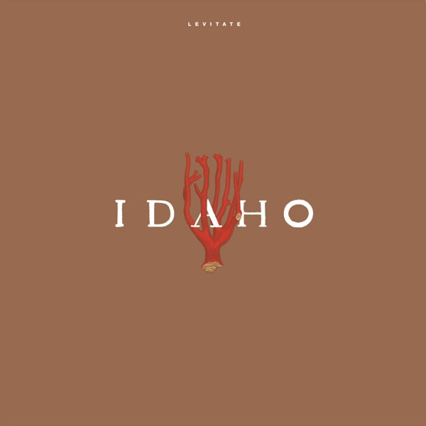 Idaho - Levitate  |  Vinyl LP | Idaho - Levitate  (LP) | Records on Vinyl