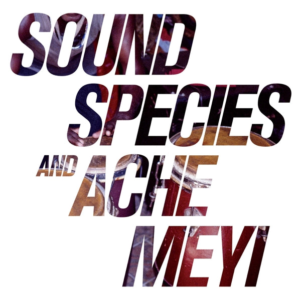 Soundspecies & Ache Meyi - Soundspecies & Ache Meyi |  Vinyl LP | Soundspecies & Ache Meyi - Soundspecies & Ache Meyi (2 LPs) | Records on Vinyl