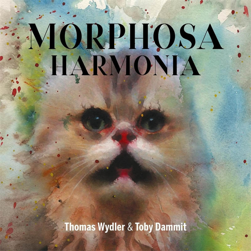  |  Vinyl LP | Thomas & Dammit Wydler - Morphosa Harmonia (LP) | Records on Vinyl