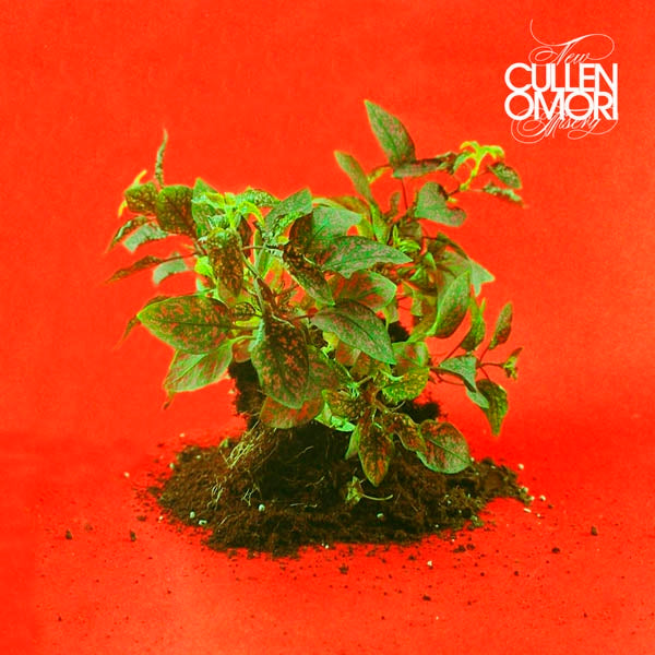  |  Vinyl LP | Cullen Omori - New Misery (LP) | Records on Vinyl