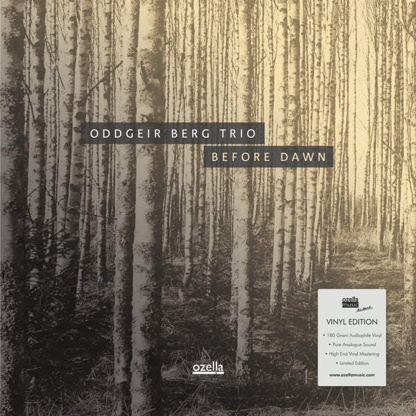 Oddgeier Berg Trio - Before  |  Vinyl LP | Oddgeier Berg Trio - Before  (LP) | Records on Vinyl