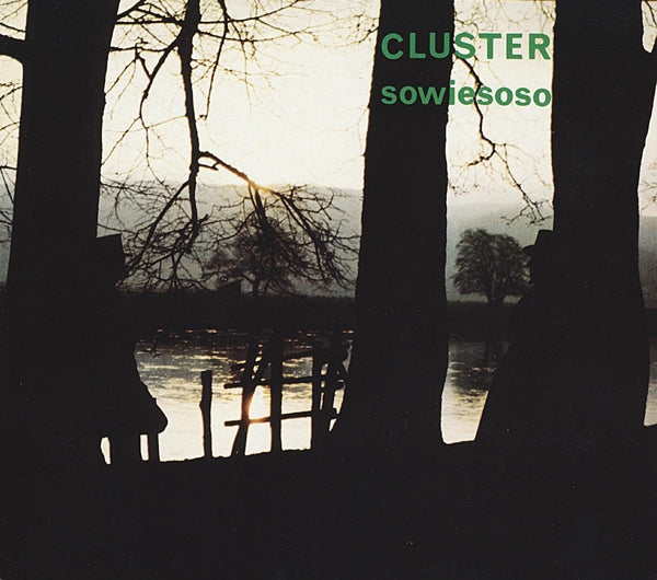  |  Vinyl LP | Cluster - Sowiesoso (LP) | Records on Vinyl