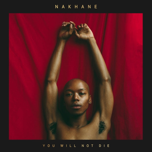 Nakhane - You Will Not Die |  Vinyl LP | Nakhane - You Will Not Die (LP) | Records on Vinyl