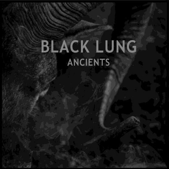 Black Lung - Ancients |  Vinyl LP | Black Lung - Ancients (LP) | Records on Vinyl