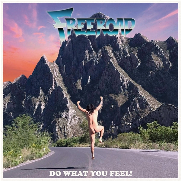  |  Vinyl LP | Freeroad - Do What You Feel (LP) | Records on Vinyl