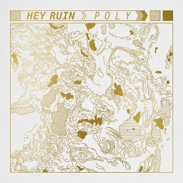  |  Vinyl LP | Hey Ruin - Poly (LP) | Records on Vinyl