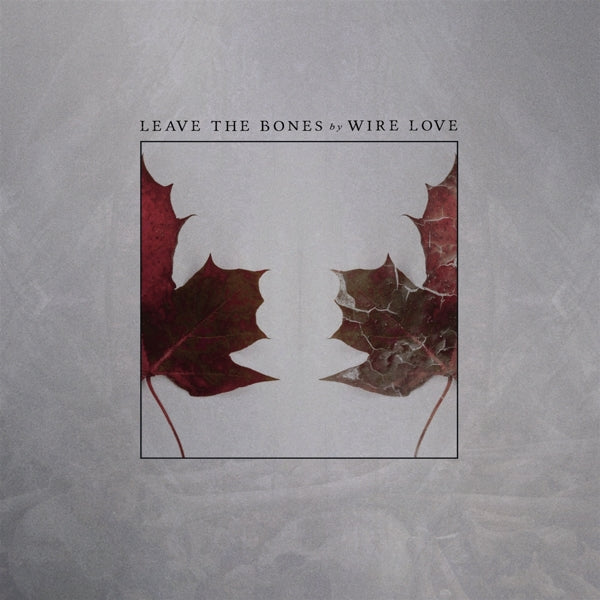 Wirelove - Leave The Bones |  Vinyl LP | Wirelove - Leave The Bones (LP) | Records on Vinyl