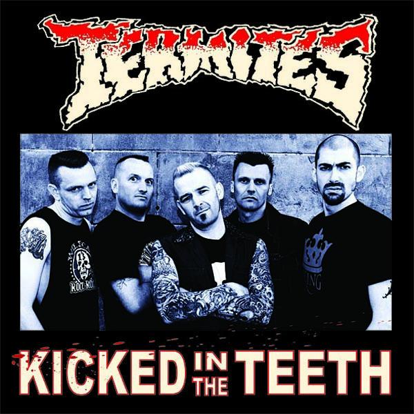 Termites - Kicked In The Teeth |  Vinyl LP | Termites - Kicked In The Teeth (LP) | Records on Vinyl