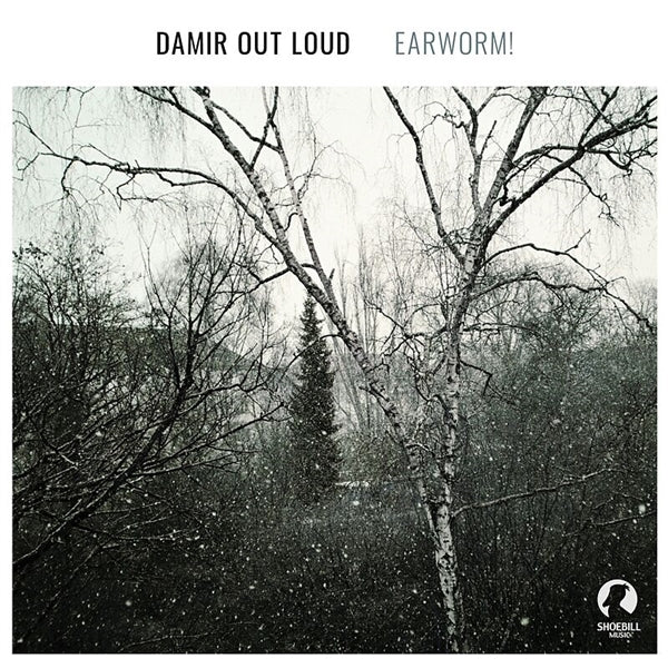 Damir Out Loud - Earworm |  Vinyl LP | Damir Out Loud - Earworm (LP) | Records on Vinyl